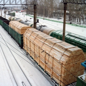 In January-October 2021, Russia reduced its export of sawn timber by 5.2%